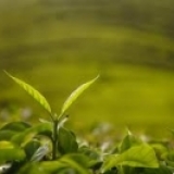 終身受用的五句話