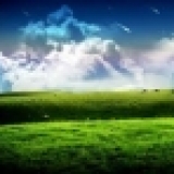 經典的二十八條句子